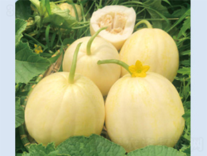 �S����̖(h��o)-��ϷN��-����N�I(y��)