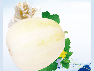 ����198-��ϷN��-����N�I(y��)