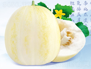 �������-��ϷN��-����N�I(y��)