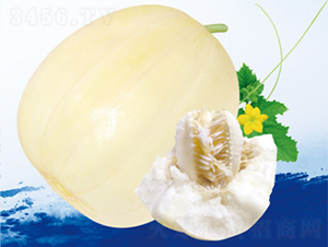 �S��һ̖(h��o)-��ϷN��-����N�I(y��)