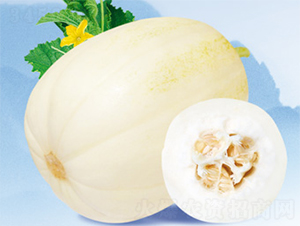 ����sҫ-��ϷN��-����N�I(y��)