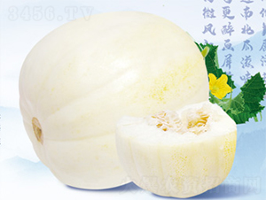 ��������-��ϷN��-����N�I(y��)