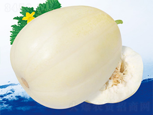 ������ؔ(c��i)��-��ϷN��-����N�I(y��)