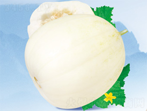 ����һ̖(h��o)-��ϷN��-����N�I(y��)