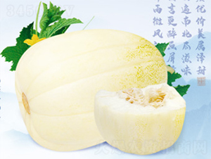 ����-��ϷN��-����N�I(y��)