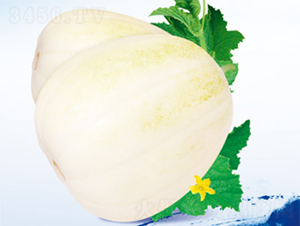 ������̖(h��o)-��ϷN��-����N�I(y��)