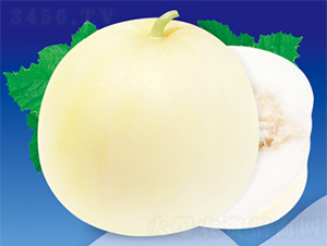 �����ŵ�-��ϷN��-����N�I(y��)