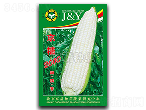 ��Ŵ2000-Ŵ���׷N��-���зN�I(y��)