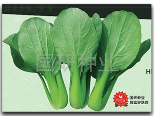 �;G302-�Ͳ˷N��-���зN�I(y��)