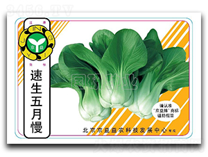 ����������-�Ͳ˷N��-���зN�I(y��)