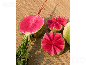 ��M(m��n)�t�s���}��-�}���N��-��(gu��)�зN�I(y��)