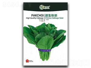 �������-С�ײ˷N��-���зN�I(y��)