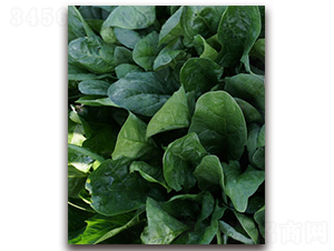 TI-12L-���˷N��-�S�{�N��