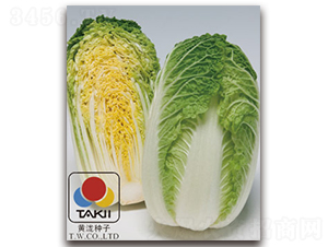 ������-�ײ˷N��-�S�{�N��