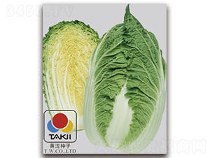 TI-12N-�ײ˷N��-�S�{�N��