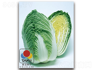 TI-07M-�ײ˷N��-�S�{�N��