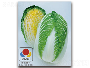 ��÷-�ײ˷N��-�S�{�N��