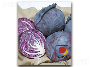 �ϼ�-�ϸ��{(l��n)�N��-�S�{�N��