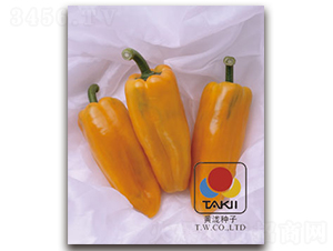 �S����-�𽷷N��-�S�{�N��