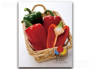 �t�-�𽷷N��-�S�{�N��