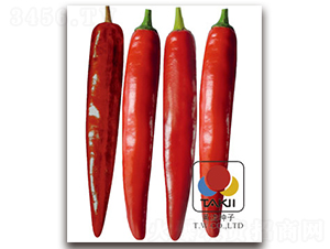 һ�����-�����N��-�S�{�N��