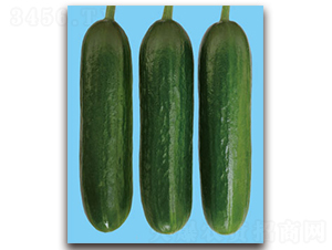 �����_-�S�ϷN��-�S�{�N��