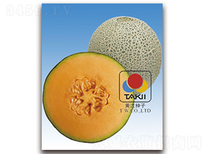 TI-175-��ϷN��-�S�{�N��