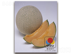 TI-122-��ϷN��-�S�{�N��