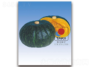 ���S������-�ϹϷN��-�S�{�N��