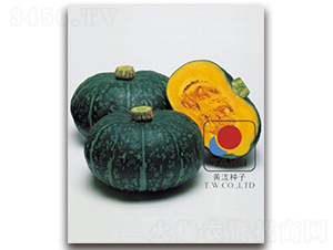 �۱�˹-�ϹϷN��-�S�{�N��