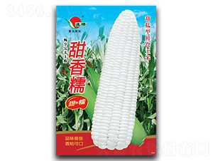 ����Ŵ-Ŵ���׷N��-�ʴ��r(n��ng)�I(y��)