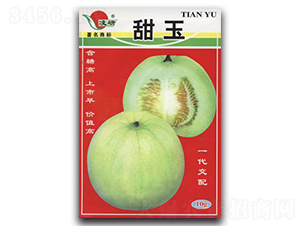 ����-��ϷN��-�ʴ��r(n��ng)�I(y��)