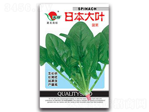 �ձ����~-���˷N��-�ʴ��r(n��ng)�I(y��)