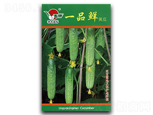 һƷ�r�S��-�S�ϷN��-�ʴ��r(n��ng)�I(y��)