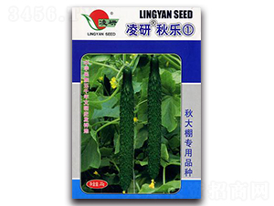 �������-�S�ϷN��-�ʴ��r(n��ng)�I(y��)