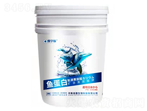 �~����+�VԴ�S�����+�����-�ÌW(xu��)��