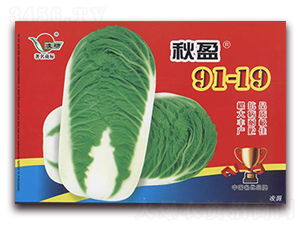 ��ӯ91-19-�ײ˷N��-�ʴ��r�I(y��)