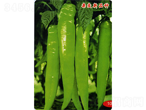 �����L��-�����N��-�������