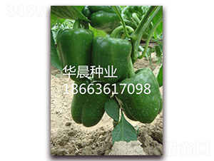 ˹����F1�����m��-�𽷷N��-�A���N�I(y��)