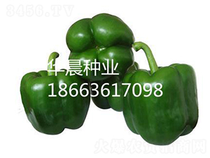 �ȱ���F1�����m��-�𽷷N��-�A���N�I(y��)