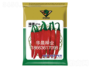 ���F1-�����N��-�A���N�I(y��)