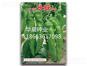 �L�@-�����N��-�A���N�I(y��)