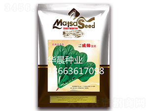 ��������-���˷N��-�A���N�I(y��)