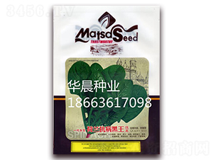 ���m��������-���˷N��-�A���N�I(y��)