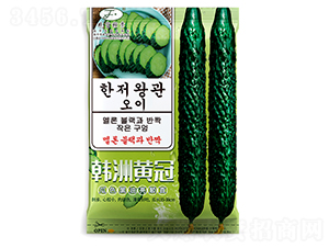 �n���S��-�S�ϷN��-�Ը��N��