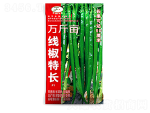 �������L-�����N��-�Ը��N��