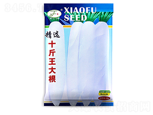 ʮ�������-�}���N��-�Ը��N��