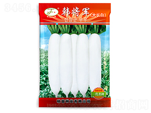 �n��܊���L(zh��ng)��-�}���N��-�Ը��N��