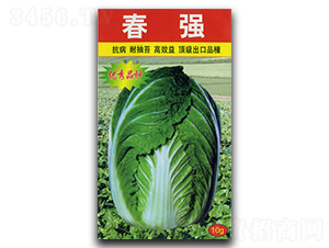 ����-�ײ˷N��-�������