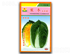 ����-�ײ˷N��-�������